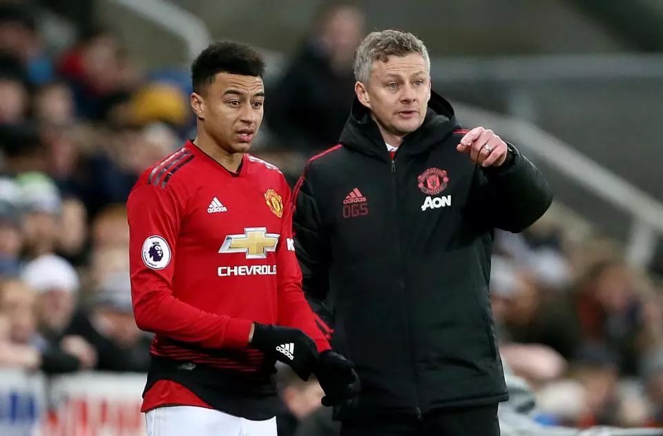 塞梅多在狼 塞梅多在狼