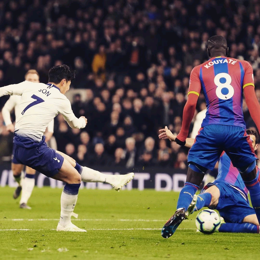 根的支持 根的支持